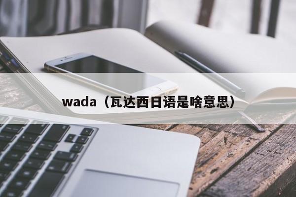 wada（瓦达西日语是啥意思）